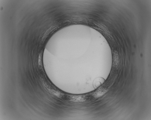 X0000066080502200604071735