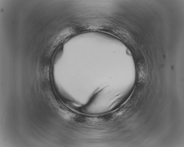 X0000066080503200604071735