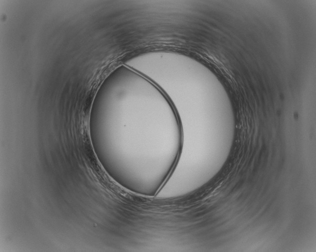 X0000066080504200604071735