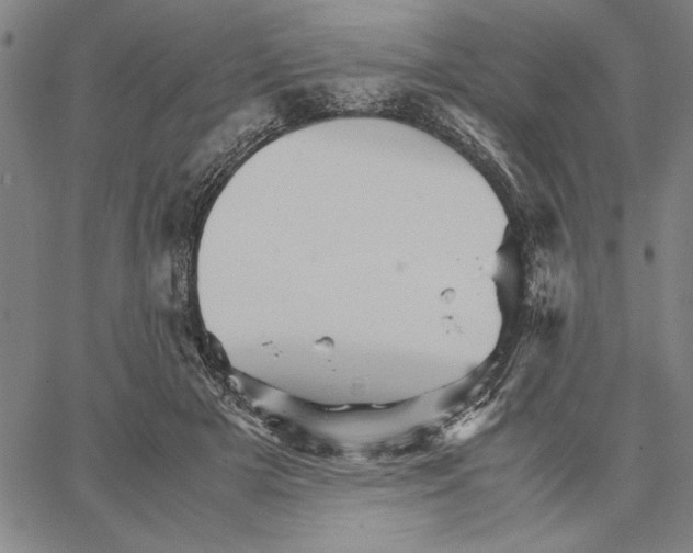 X0000066080505200604071735