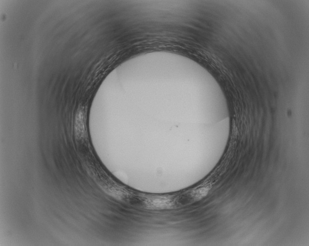 X0000066080506200604071735