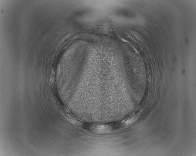 X0000066080507200604071735