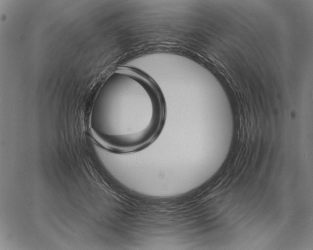 X0000066080508200604071735