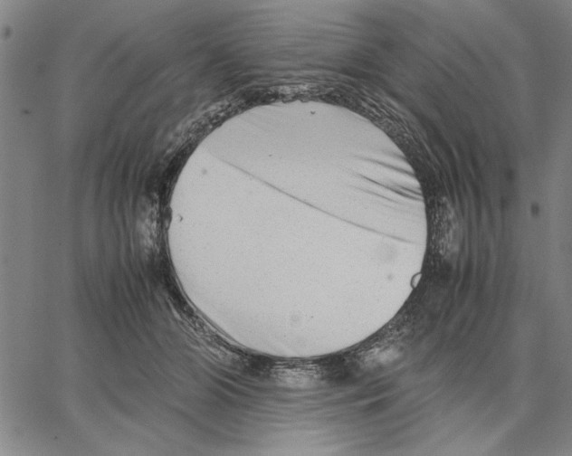 X0000066080510200604071735