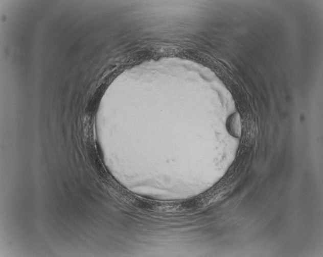 X0000066080511200604071735