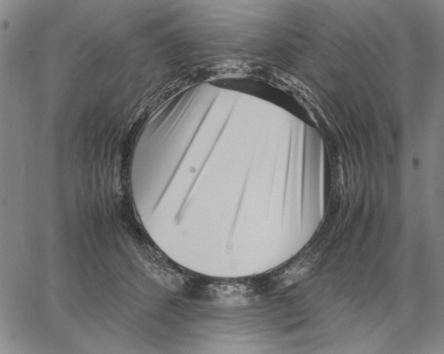 X0000066080512200604071735