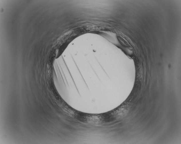 X0000066080513200604071735