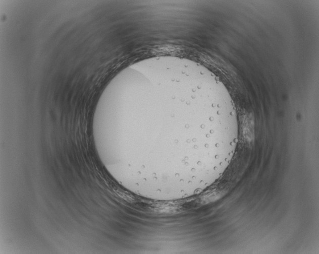 X0000066080514200604071735