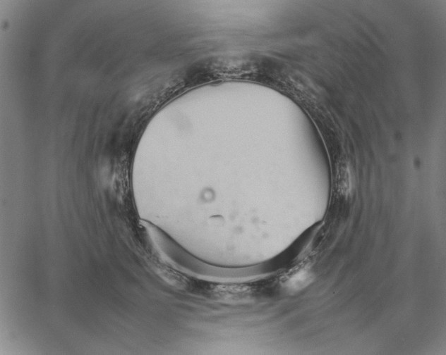 X0000066080515200604071735