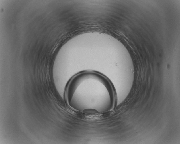 X0000066080516200604071735