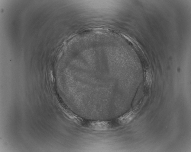 X0000066080517200604071735