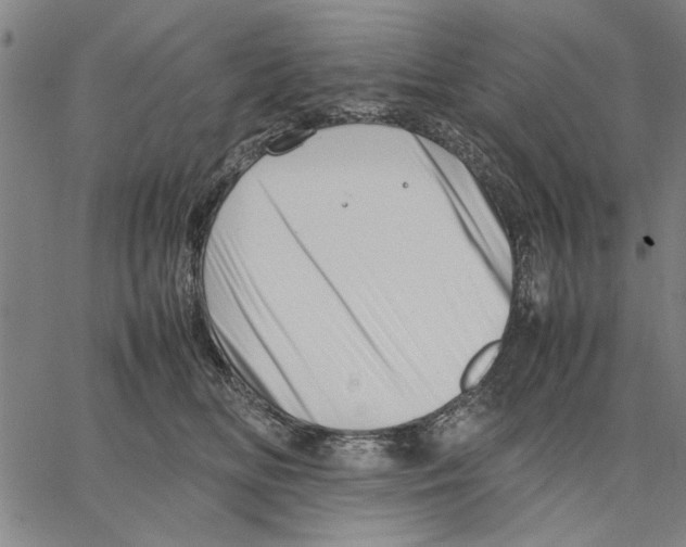 X0000066080518200604071735