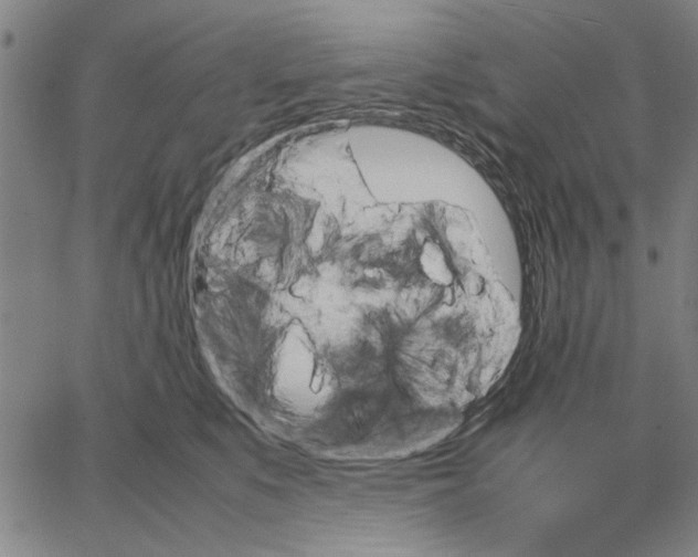 X0000066080519200604071735