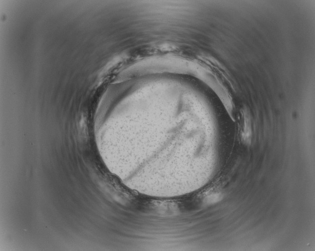 X0000066080520200604071735