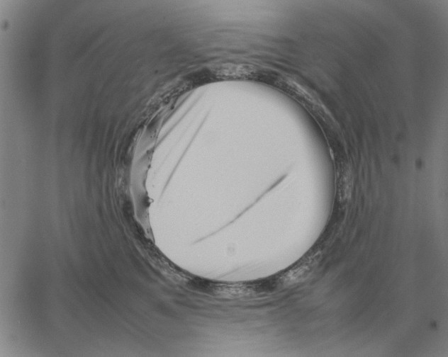 X0000066080521200604071735