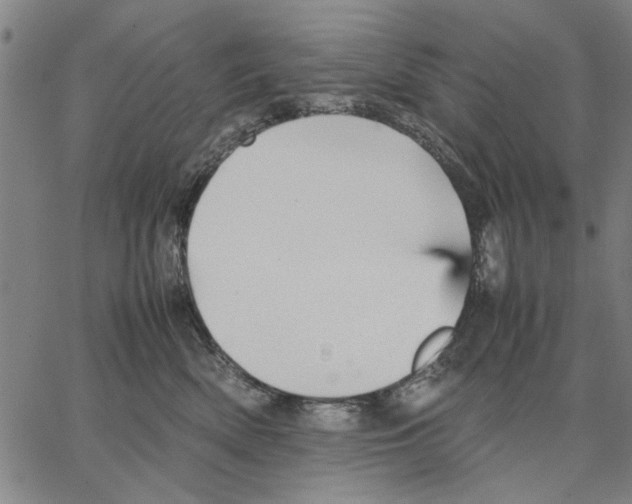 X0000066080522200604071735