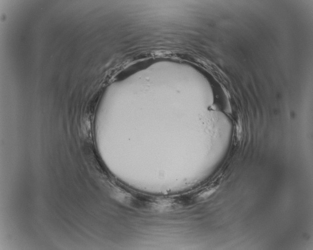 X0000066080523200604071735