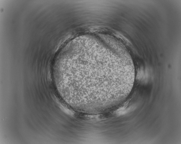 X0000066080524200604071735