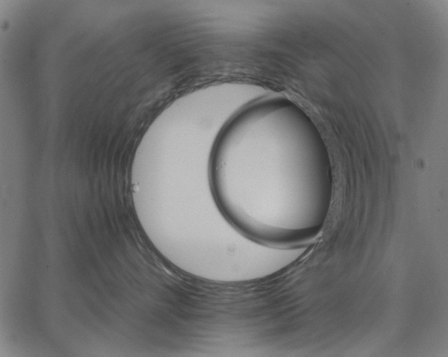 X0000066080528200604071735