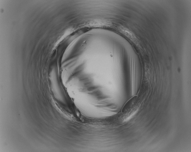 X0000066080530200604071734