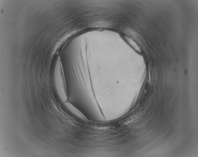 X0000066080531200604071734