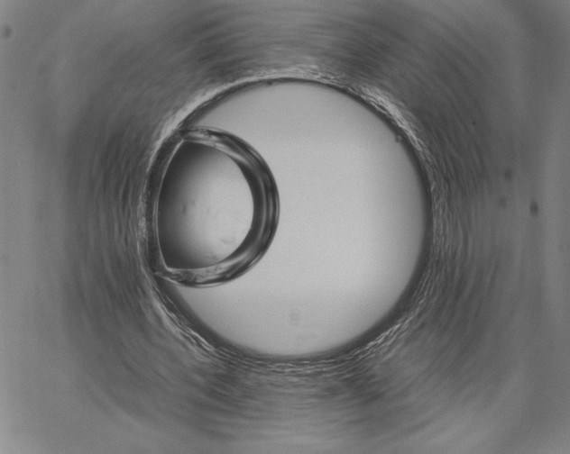 X0000066080532200604071734