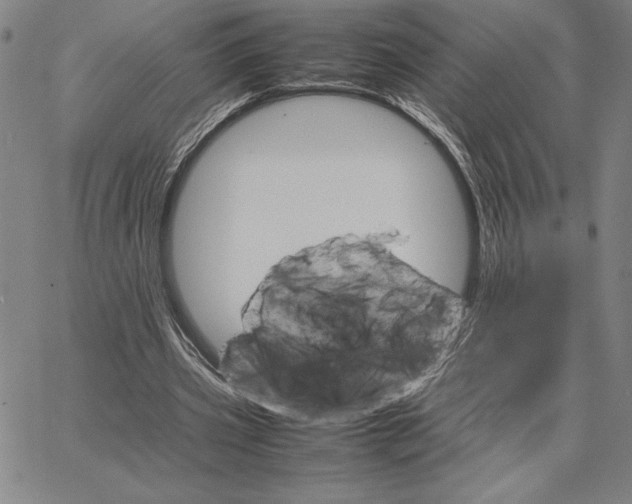 X0000066080533200604071734