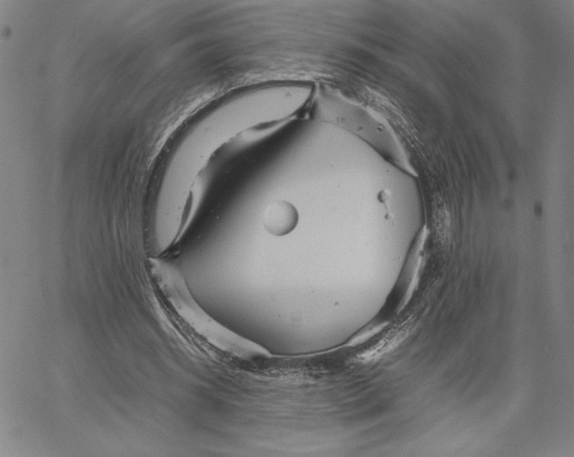 X0000066080534200604071734