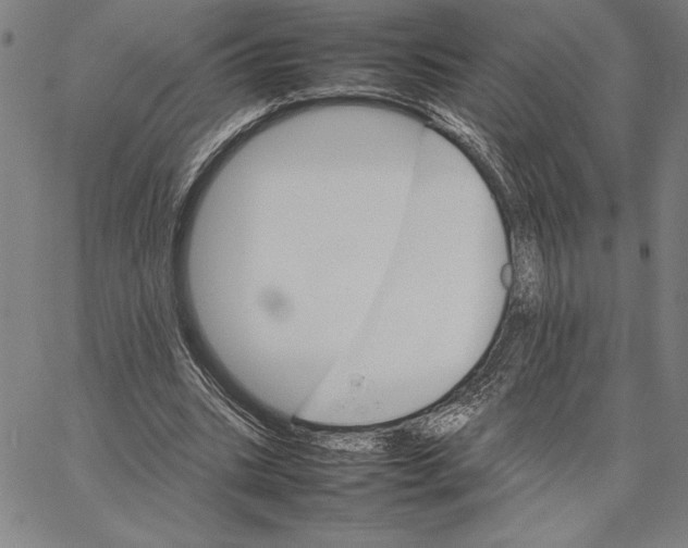 X0000066080535200604071734