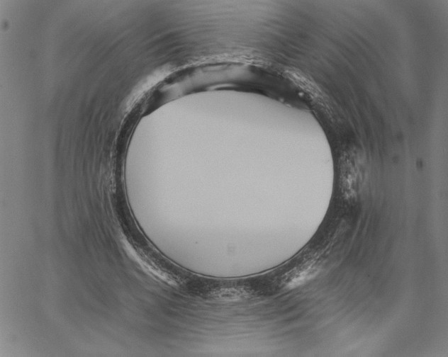 X0000066080536200604071734