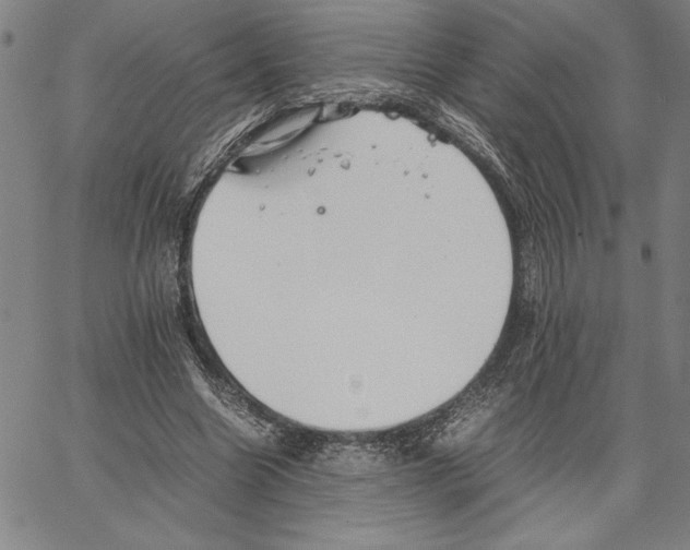 X0000066080538200604071734