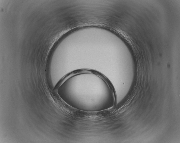 X0000066080540200604071734