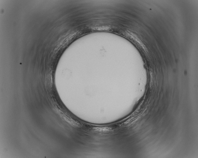 X0000066080541200604071734