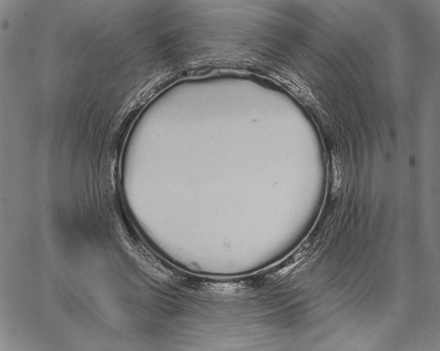 X0000066080542200604071734