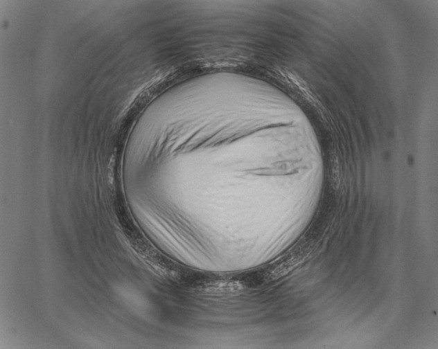 X0000066080543200604071734