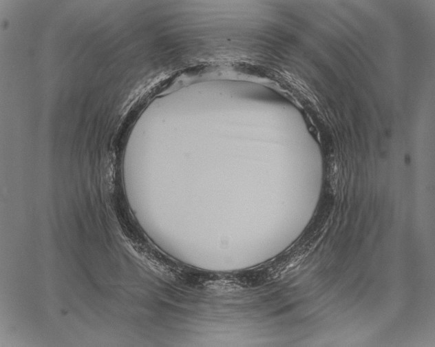 X0000066080544200604071734