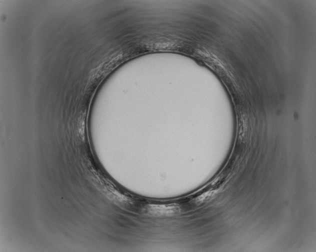 X0000066080545200604071734