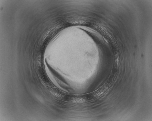 X0000066080547200604071734