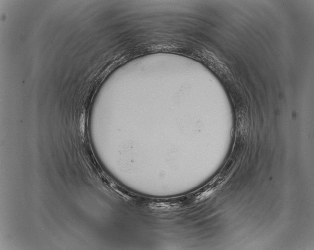 X0000066080549200604071734