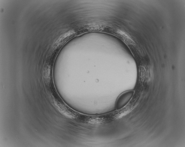 X0000066080550200604071734