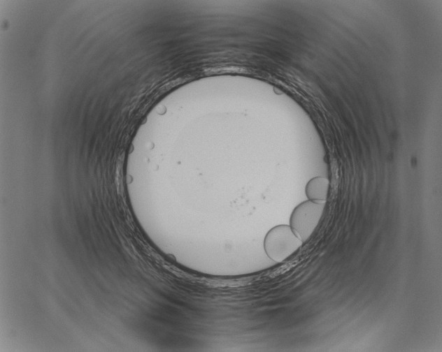 X0000066080551200604071734