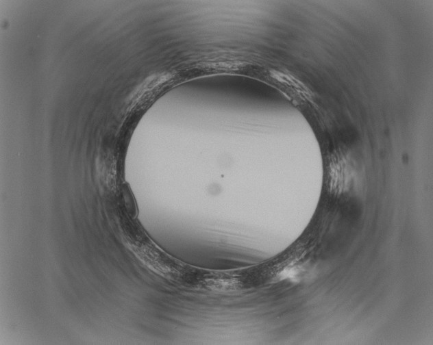 X0000066080552200604071734