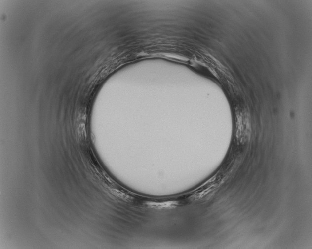 X0000066080553200604071734