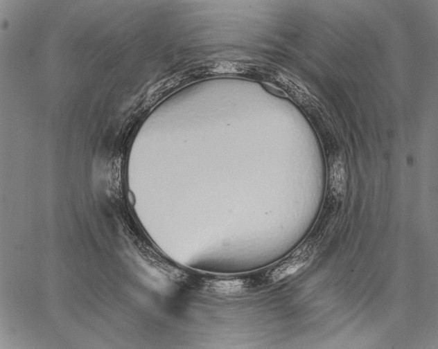 X0000066080554200604071734