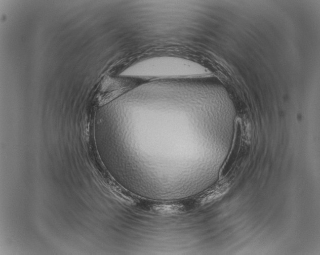 X0000066080558200604071734