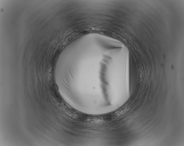 X0000066080559200604071734