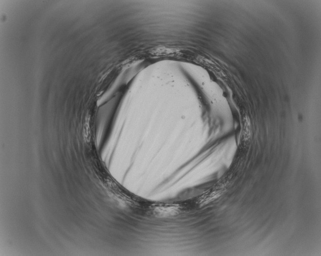 X0000066080560200604071734