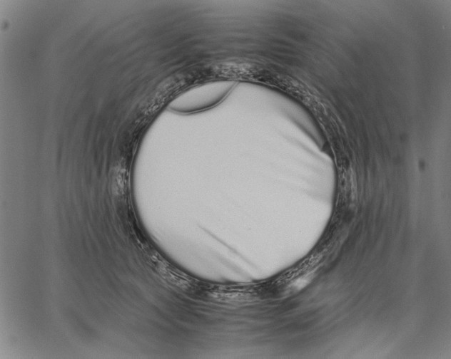 X0000066080561200604071734