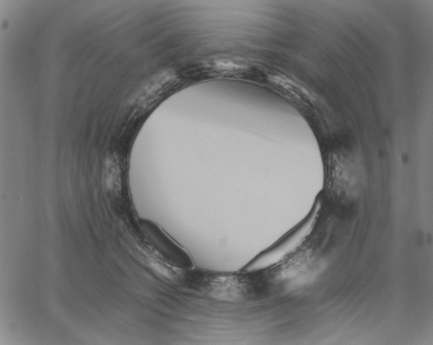 X0000066080562200604071734