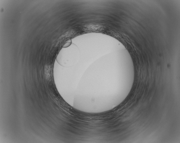 X0000066080563200604071735